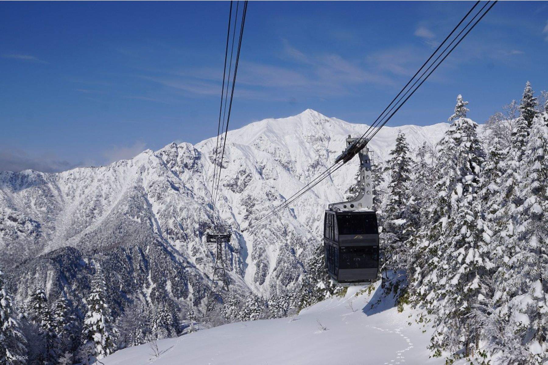 世界遺産 白川郷 & 北アルプス 樹氷ロープウェイ 新穂高 & 飛騨の里